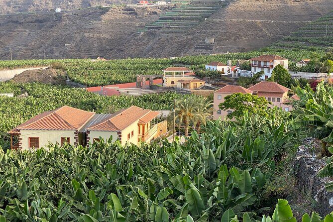 From Tenerife: Tajogaite Volcano, La Cumbrecita and Casco Antiguo - Santa Cruz de la Palma return day: how the last stretch feels