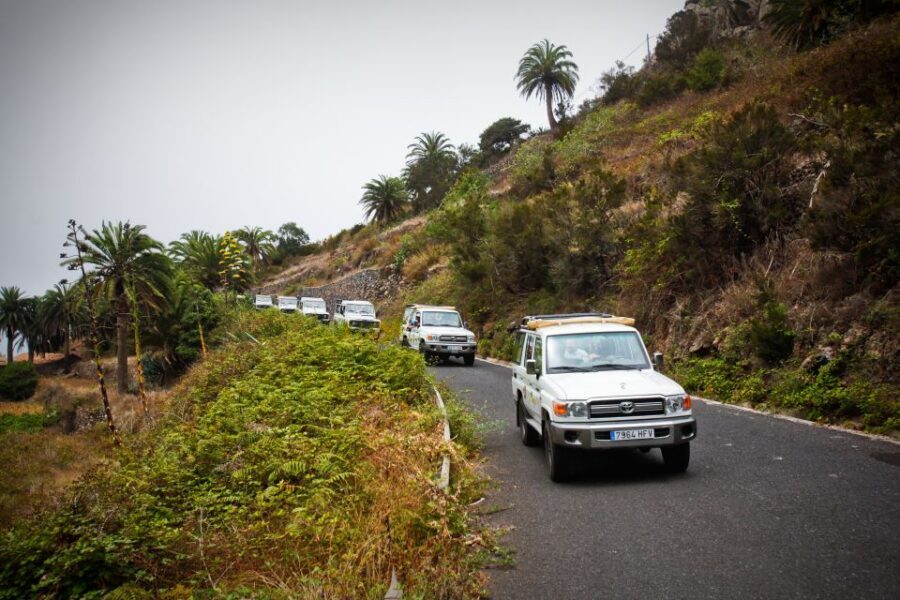 Full-Day Gomera Jeep Safari Excursion from Arona - Morning Ferry To San Sebastián de la Gomera: Your Day Starts Easy
