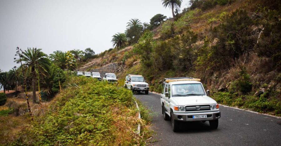 Full-Day Gomera Jeep Safari Excursion from Arona - Garajonay National Park and the Live Fossil Forest
