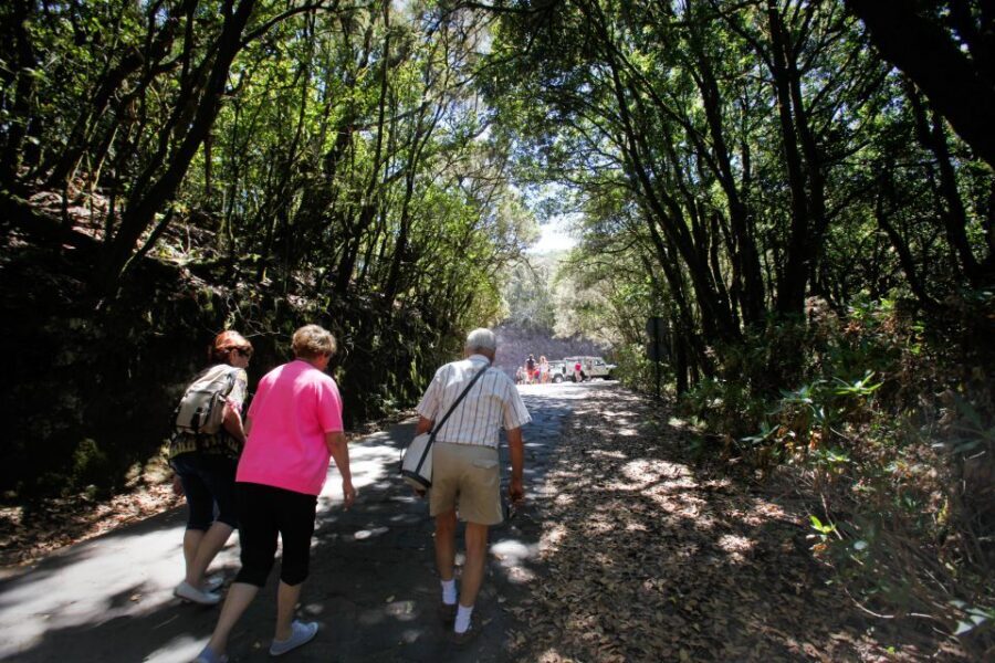 Full-Day Gomera Jeep Safari Excursion from Arona - Traditional Lunch With Local Flavor and Restaurant Views