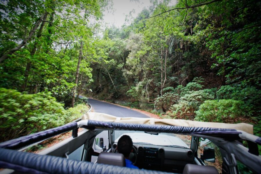 Full-Day Gomera Jeep Safari Excursion from Arona - Price and Value for $171: What You’re Really Paying For