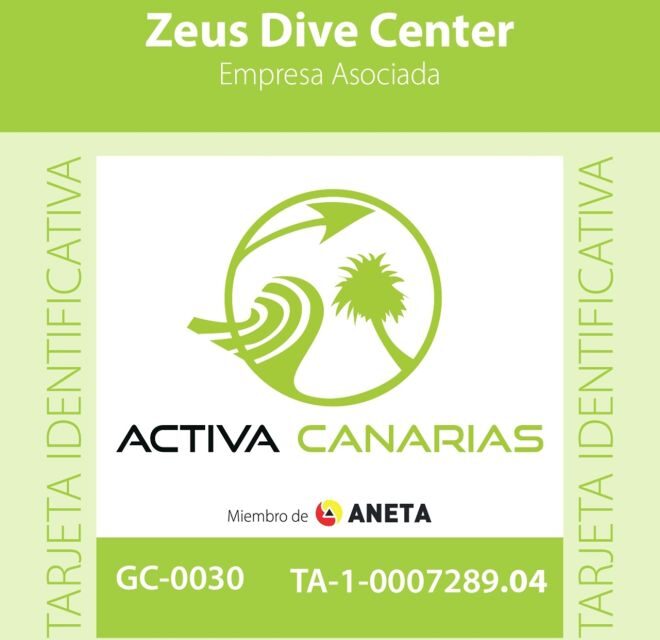 Gran Canaria Scuba Diving for Certified Divers - The 6-hour flow: two shore sessions, an in-between surface interval