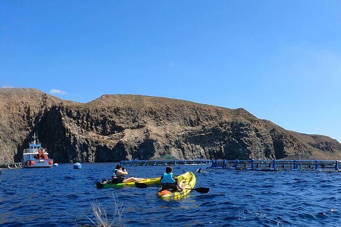 Guided Kayak Tour From Los Cristianos Beach Tenerife - The fish farm stretch: where the wildlife odds improve