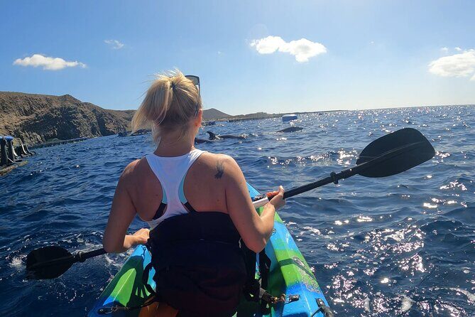 Guided Kayak Tour From Los Cristianos Beach Tenerife - Cueva del Palma: crystalline water and the Guaza mountain view