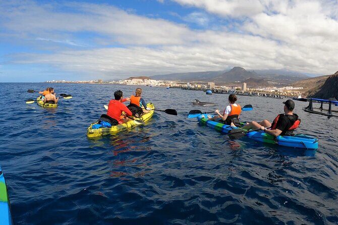 Guided Kayak Tour From Los Cristianos Beach Tenerife - Pacing, group size, and how active this really is