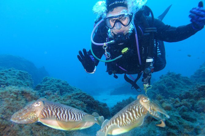 guided Scuba Diving on Tenerife (for certified divers) - Weather reality: Tenerife’s “good weather” requirement is not just fine print