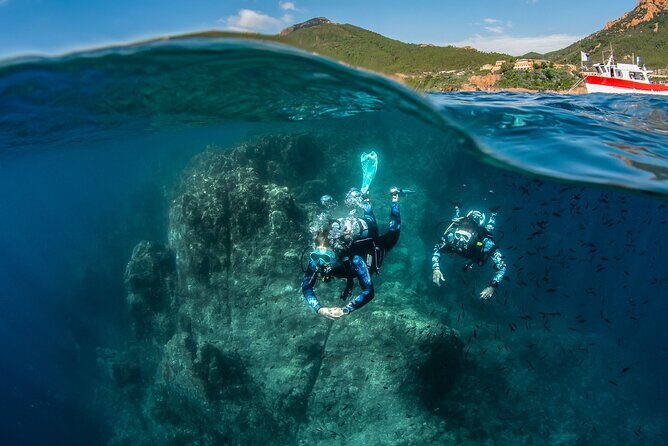 guided Scuba Diving on Tenerife (for certified divers) - Private instructor-led sessions in a group that actually stays small