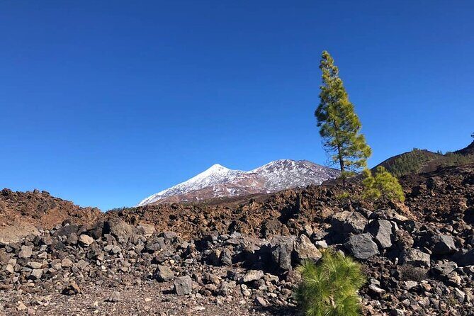 Guided Tour to Teide National Park in Tenerife - Key things to know before you go