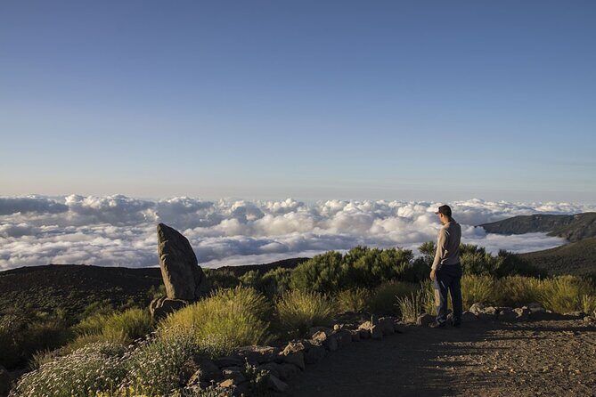 Guided Tour to Teide National Park in Tenerife - Cable car at Teide: optional summit time, plus a real cost