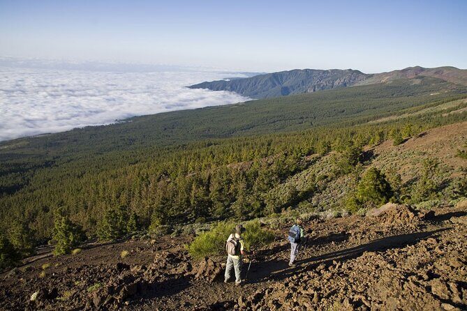 Guided Tour to Teide National Park in Tenerife - Coach time on a full day: how to survive the sitting part