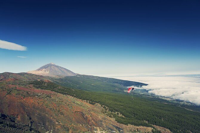 Guided Tour to Teide National Park in Tenerife - Price and value: what your money covers (and what you still pay)