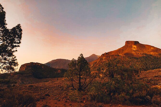 Guided Tour to Teide National Park in Tenerife - Vilaflor stop: a quick coffee moment in Tenerife’s high town