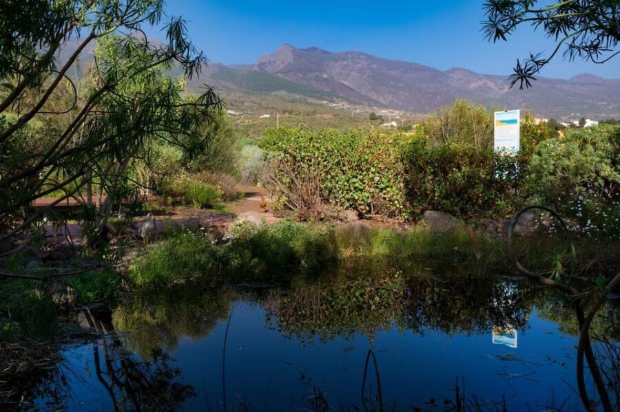 Guïmar: Pyramids of Güímar Ethnographic Park Entry Ticket - Botanical Garden Time: One of the Canary Islands’ Biggest