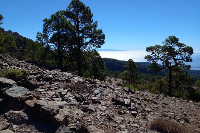 Hiking in Tenerife's Great Outdoors - Getting There Without Stress: Pickup and Private Transport