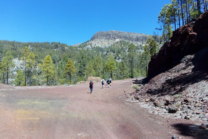 Hiking in Tenerife's Great Outdoors - Stop 1: Teide National Park Views With Photo Stops Built In