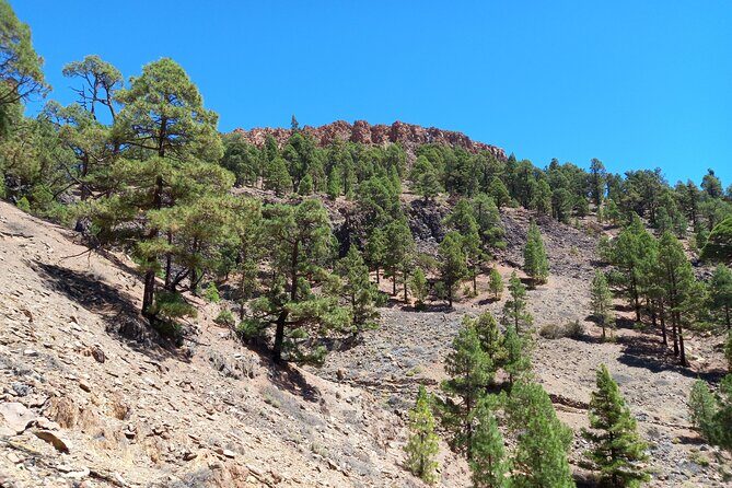 Hiking in Tenerife's Great Outdoors - Pace: Relaxed for the Group, Active for You