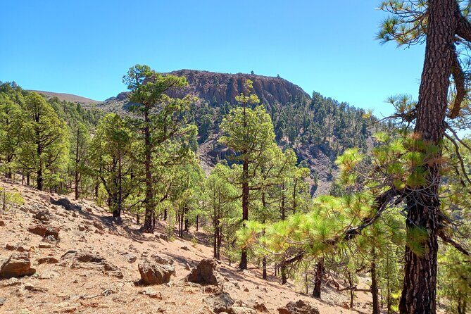 Hiking in Tenerife's Great Outdoors - Price and Value: Is $72.59 Worth It?