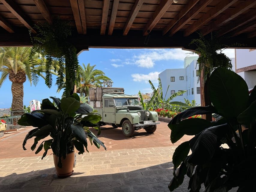 Icod de los Vinos: Casa del Plátano Entry Ticket - Who Should Book This Banana Ticket