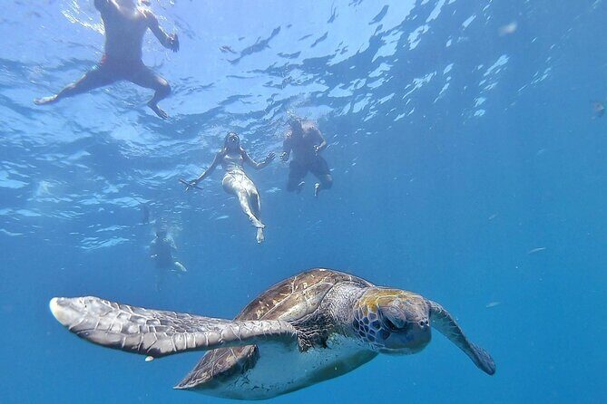 Kayak Safari with Dolphin and Turtle Watching in Guaza - Guaza’s kayak route: Teno-Rasca marine strip and Palmar cave
