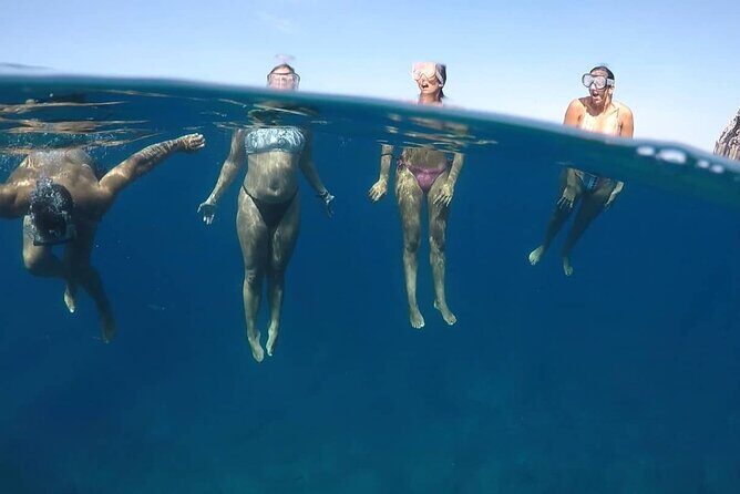 Kayak Safari with Dolphin and Turtle Watching in Guaza - Price and value: does $45.97 make sense for 3 hours?