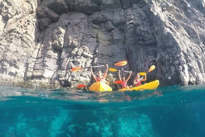 Kayak Safari with Dolphin and Turtle Watching in Guaza - Who should book this Guaza kayak-and-snorkel safari