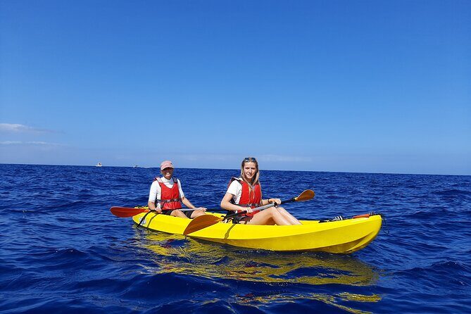 Kayak Safari with Dolphin and Turtle Watching in Guaza - Dolphins and turtles: what you can realistically hope to see