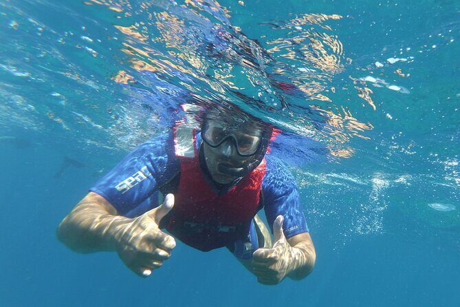 Kayaking + snorkeling with turtles - Gear, photos, and small extras that can change your day