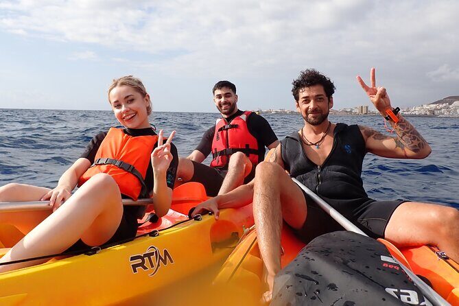 Kayaking + snorkeling with turtles - Where dolphins fit in: a chance, not a schedule