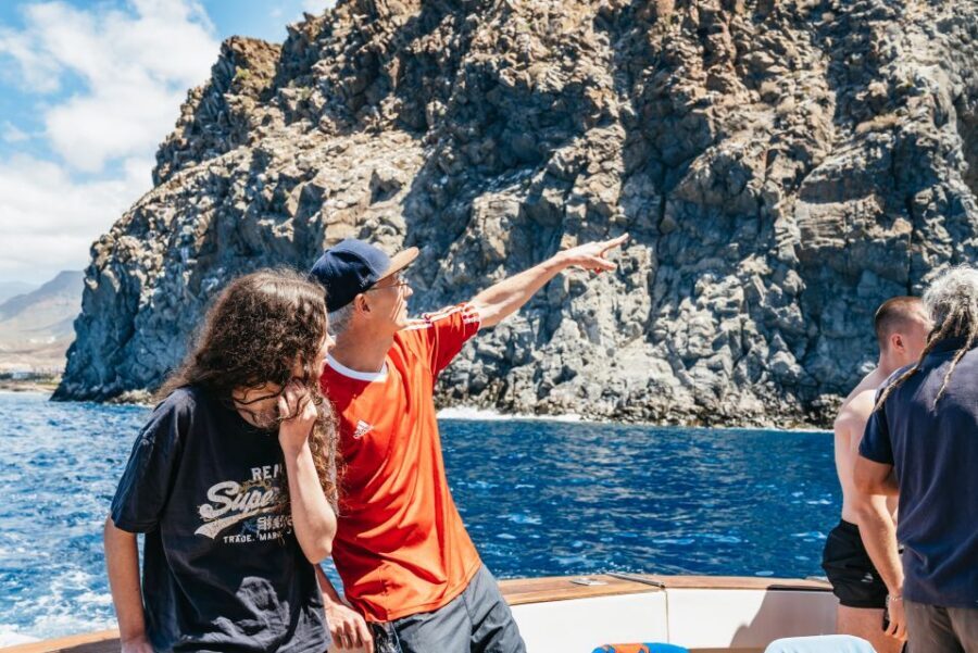 Las Galletas: Whale & Dolphin Tour with Local Skipper - Key points before you set sail