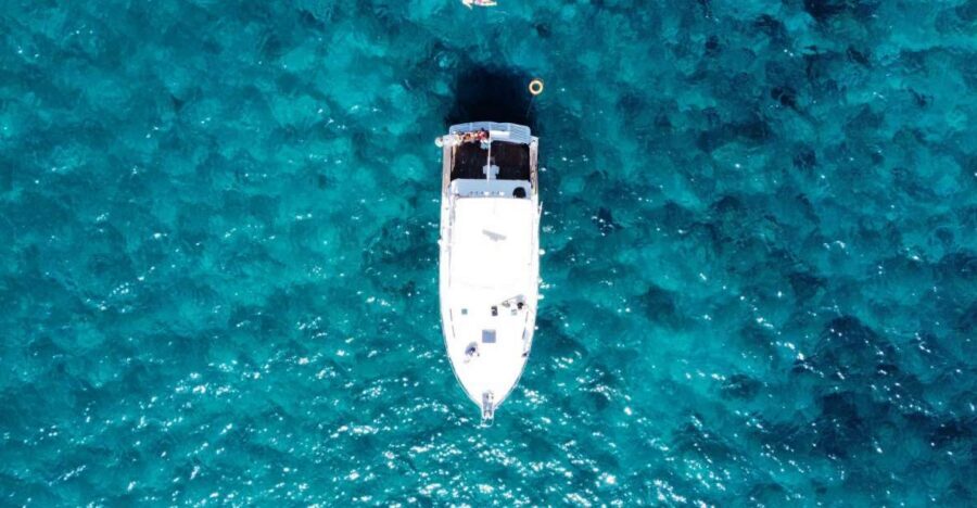 Las Galletas: Whale & Dolphin Tour with Local Skipper - Should you book? My take