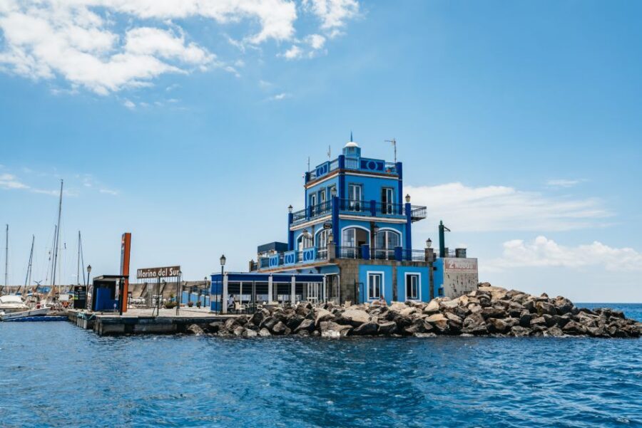 Las Galletas: Whale & Dolphin Tour with Local Skipper - Lunch onboard: local comfort food at sea