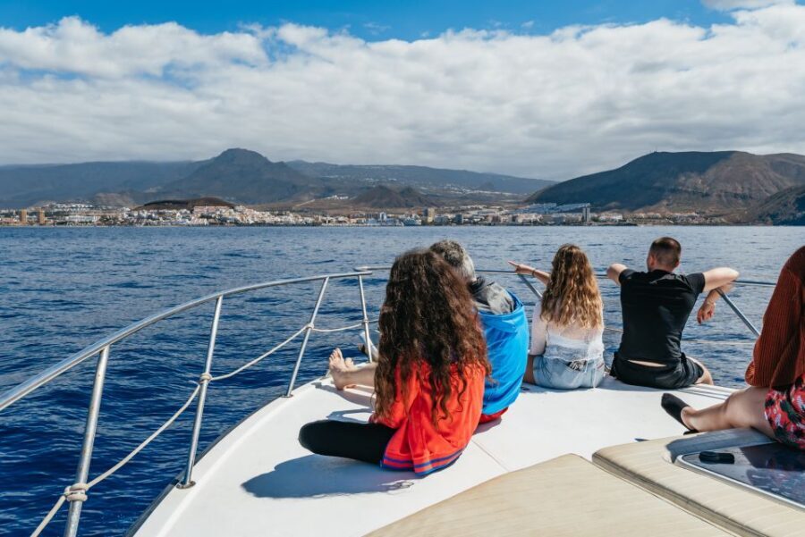 Las Galletas: Whale & Dolphin Tour with Local Skipper - Price and value: why $69 can feel fair for this setup