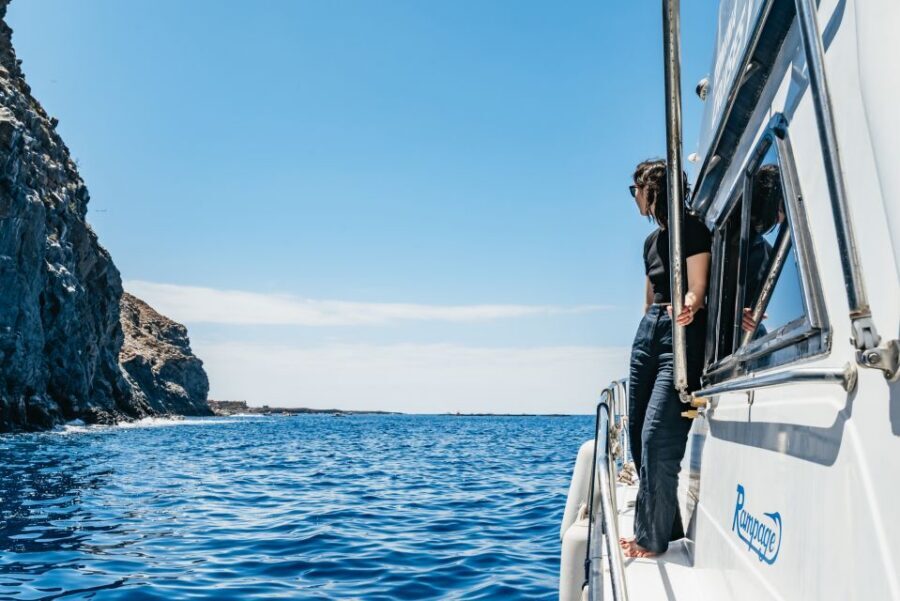 Las Galletas: Whale & Dolphin Tour with Local Skipper - Practical checklist so you enjoy the water part