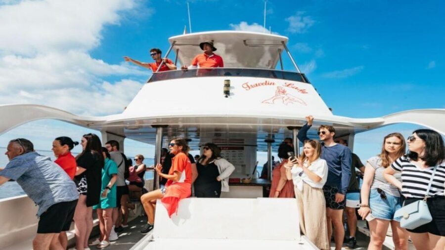 Los Cristianos: Eco Yacht Whale Watching Tour at Sunset - Key takeaways