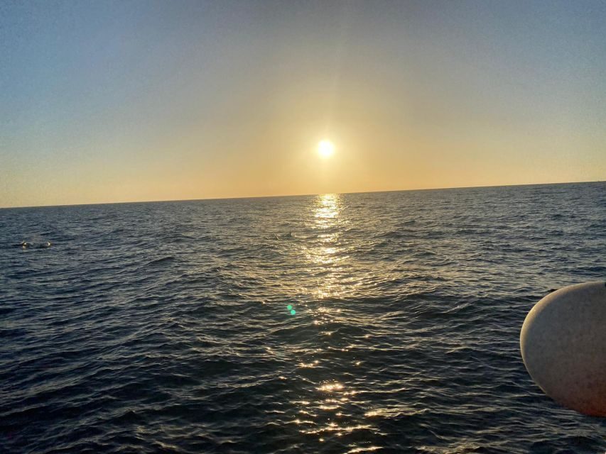 Los Cristianos: Eco Yacht Whale Watching Tour at Sunset - Price and Value: Why This One Feels Fair at About $17