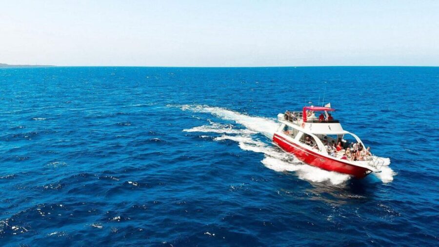 Los Cristianos: Eco Yacht Whale Watching Tour at Sunset - Entering The Scene: Why Los Cristianos at Sunset Works