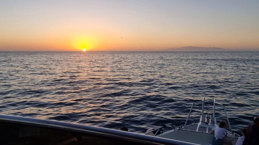Los Cristianos: Eco Yacht Whale Watching Tour at Sunset - The Sunset Search: How the 90 Minutes Flow on the Water