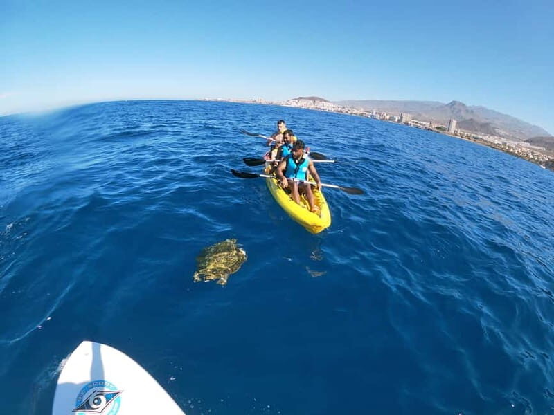 Los Cristianos: Kayak and Snorkel with Turtles and Photos - Price and value: why $34 usually feels fair