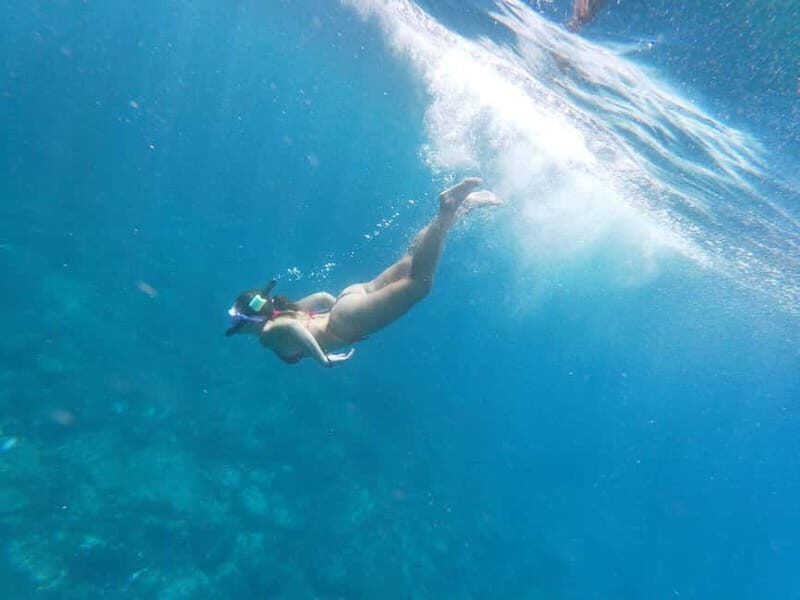 Los Cristianos: Kayak and Snorkel with Turtles and Photos - Guides in charge: what the best ones do with you
