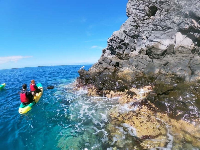 Los Cristianos: Kayak and Snorkel with Turtles and Photos - What to bring (and what to skip) for an easy morning