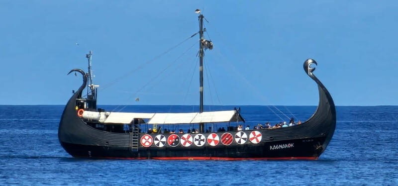 Los Cristianos: Whale Watching Cruise w/Swim Stop & Drinks - Viking Hosts On Deck: Face Painting, Music, and Real Audience Energy