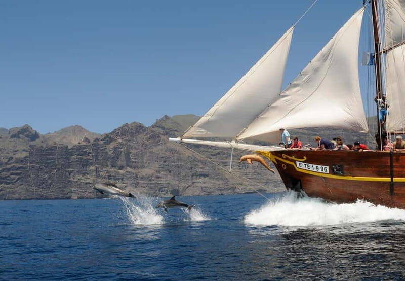 Los Gigantes: Dolphin and Whale Watching Tour with Drinks - Key highlights