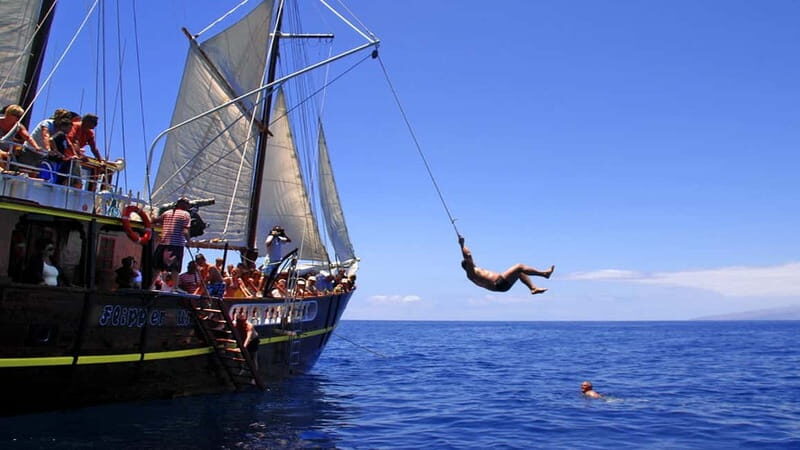 Los Gigantes: Dolphin and Whale Watching Tour with Drinks - Paella, fruit, and drinks: when the food is part of the day