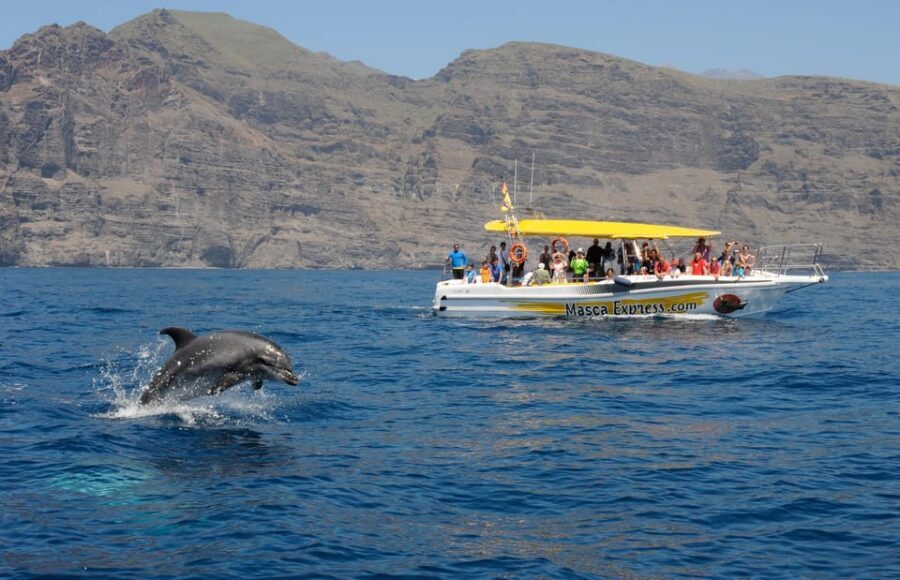Los Gigantes: Dolphin & Whale Watching Cruise with Swim Stop - Key Things That Make This Cruise Worth It