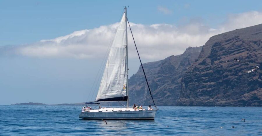 Los Gigantes: Sailing Excursion with Swimming, Drink & Tapas - Where Los Gigantes’ red cliffs shine best: the 3-hour flow