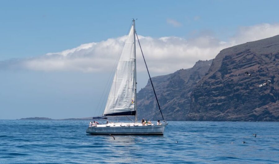 Los Gigantes: Sailing Excursion with Swimming, Drink & Tapas - Whale and dolphin spotting: what to expect (and how to improve your odds)