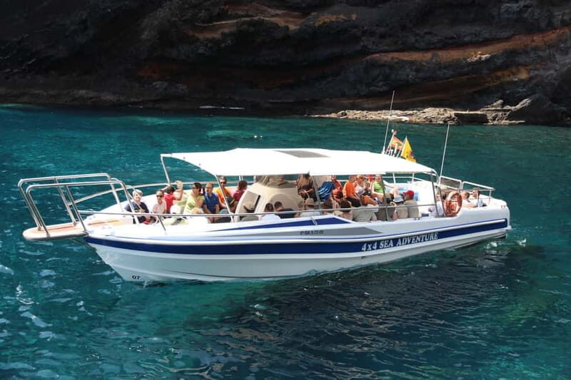 Los Gigantes: Whale or dolphin watching and swimming tour in Masca - Key things to know before you go