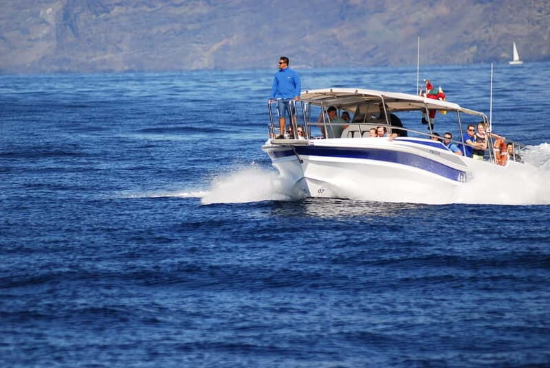 Los Gigantes: Whale or dolphin watching and swimming tour in Masca - Two hours from Los Gigantes: why this Masca Bay whale tour hits