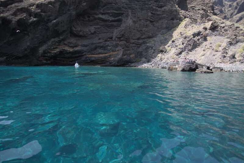 Los Gigantes: Whale or dolphin watching and swimming tour in Masca - Guides and onboard rules: how the experience stays respectful
