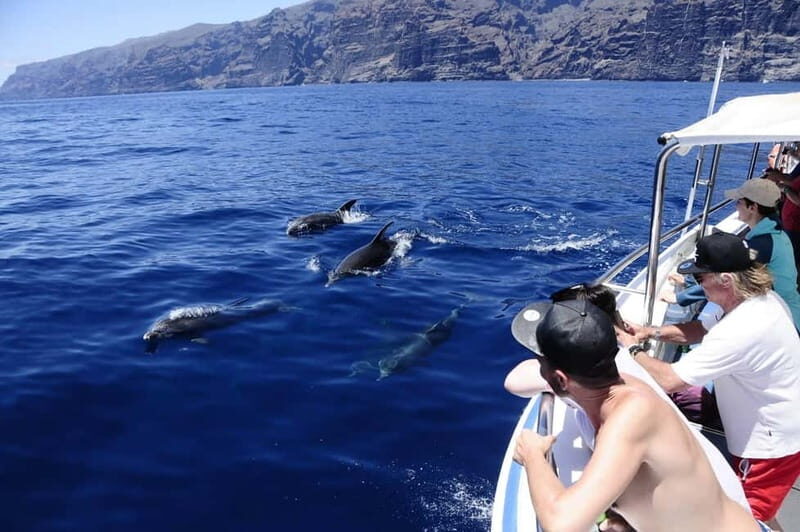 Los Gigantes: Whale or dolphin watching and swimming tour in Masca - Meeting the boat: where you start and why arrival time matters